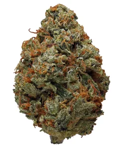 buy og kush korea