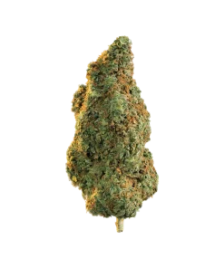 Shop marijuana in south korea