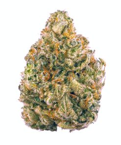 Cannabis for sale korea